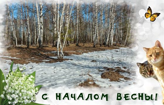 Отличная открытка на первый день весны с тающим снегом