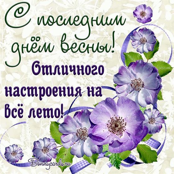 Картинка на последний день весны с фиолетовыми цветами