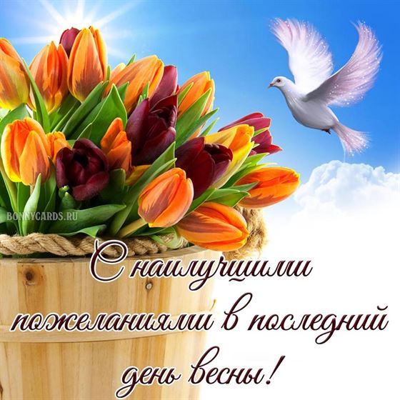 С наилучшими пожеланиями в последний день весны