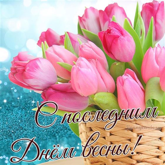 Розовые тюльпаны на последний день весны