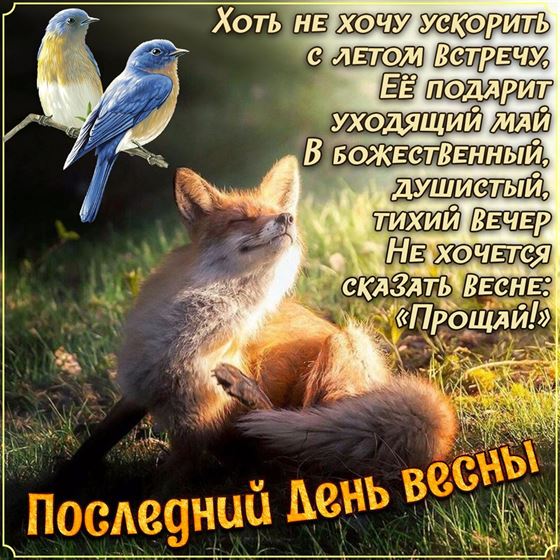 Лисичка поздравляет с последним днем весны