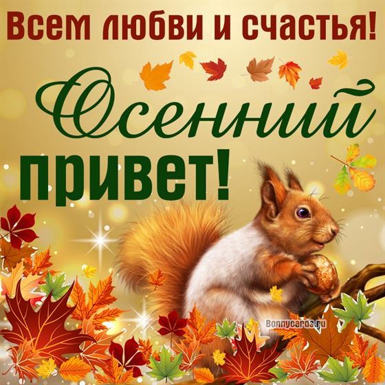 Картинка на осень с белочкой