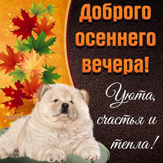 Щенок желает доброго осеннего вечера