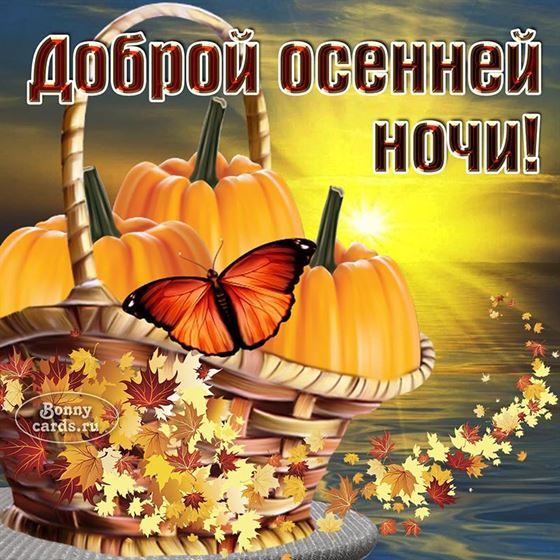 Прикольная открытка на осень с тыквами