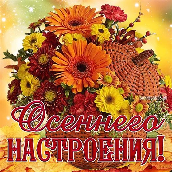 Большой букет цветов на осень