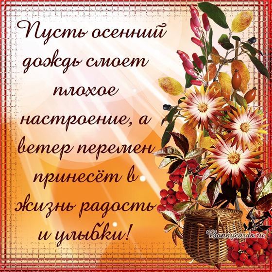 Пусть осенний дождь смоет плохое настроение