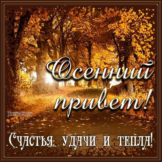 Красивая открытка на осень с видом парка