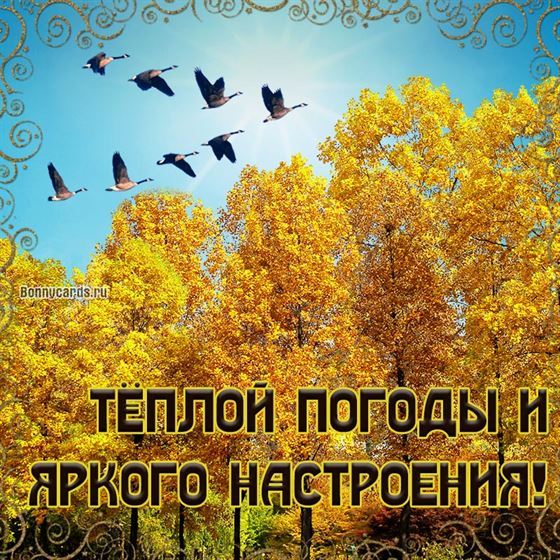 Оригинальная картинка на осень с золотыми деревьями