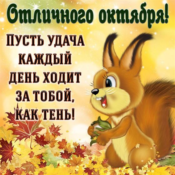 Красивая открытка на осень с белочкой