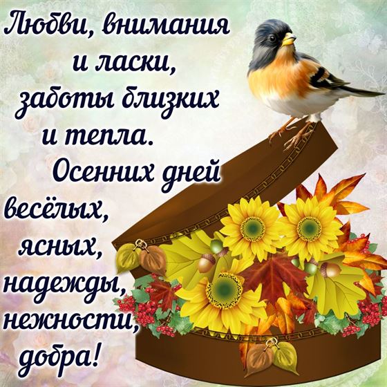 Трогательная картинка на осень с цветами и птичкой