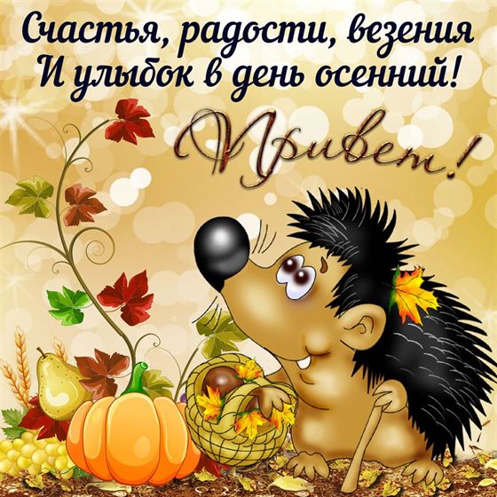 Забавная картинка на осень с ёжиком