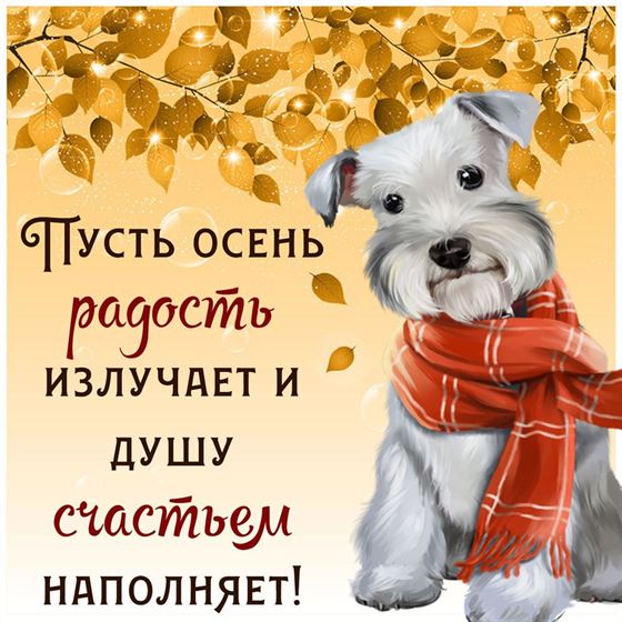 Пусть осень радость излучает