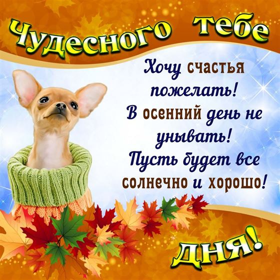 Собачка желает чудесного осеннего дня