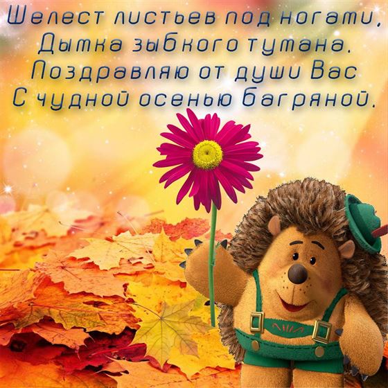 Открытка на осень с ежом с цветком