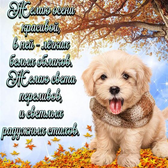 Желаю осени красивой