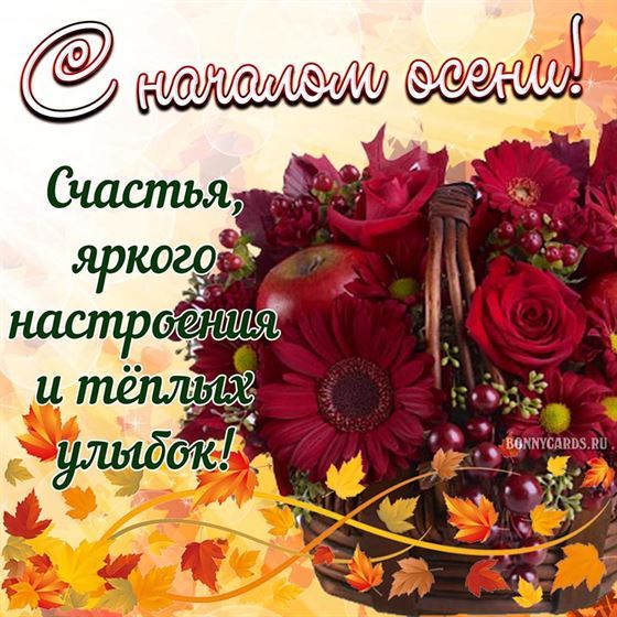 Букет цветов на начало осени