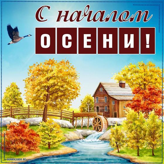 Открытка на начало осени с уткой