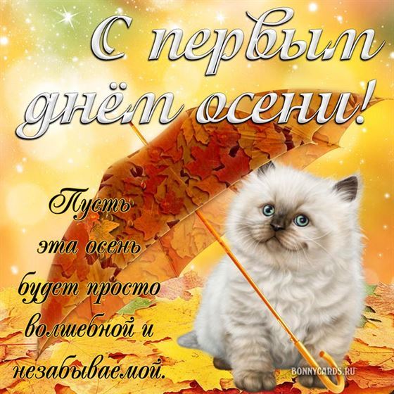 Картинка на начало осени с зонтом