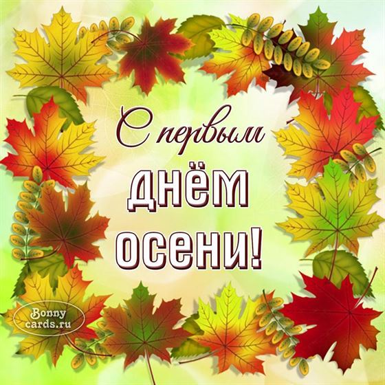 С первым днем осени в окружении листьев