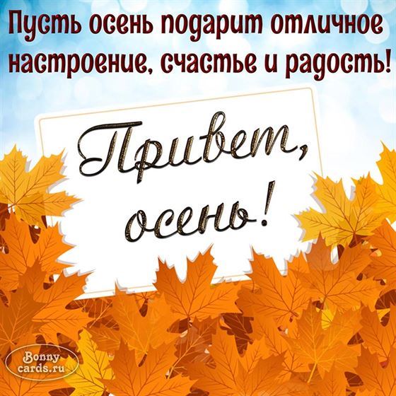 Привет, осень и кленовые листья