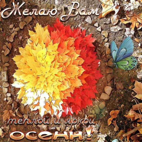 Красивые листья на начало осени