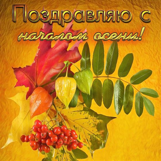 Картинка на начало осени с цветными листьями