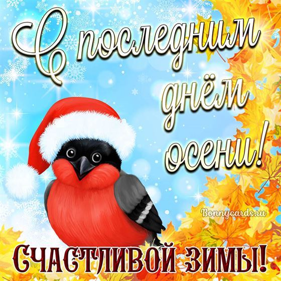 Открытка со снегирем на последний день осени