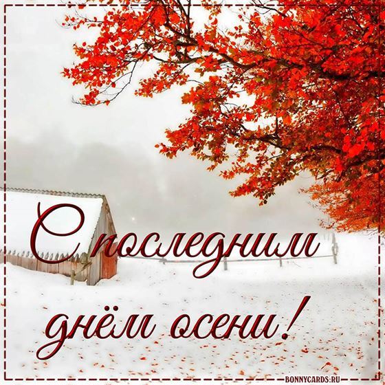 Красивая открытка на последний день осени с красными листьями