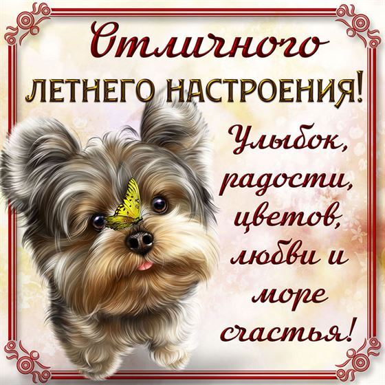 Отличного летнего настроения