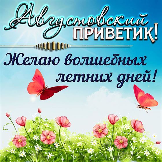 Открытка на лето с цветами и бабочками