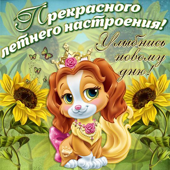 Креативная картинка на лето с собачкой
