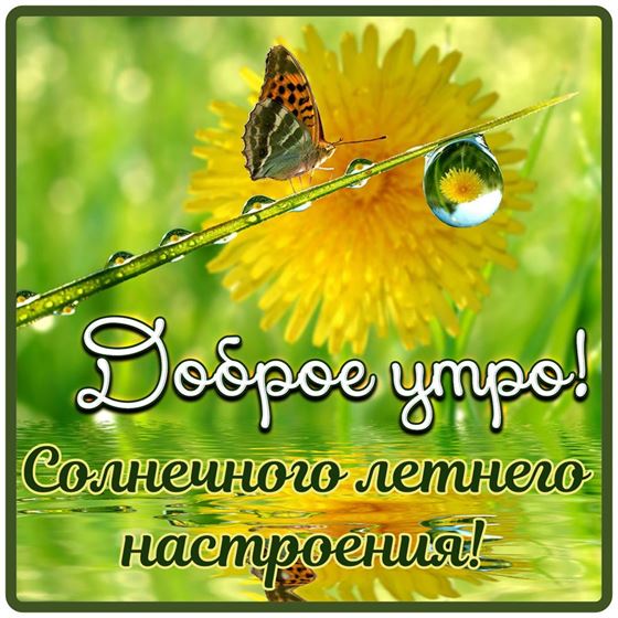 Солнечного летнего настроения с одуванчиком