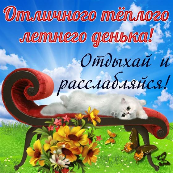 Теплого летнего денька с белой кошкой