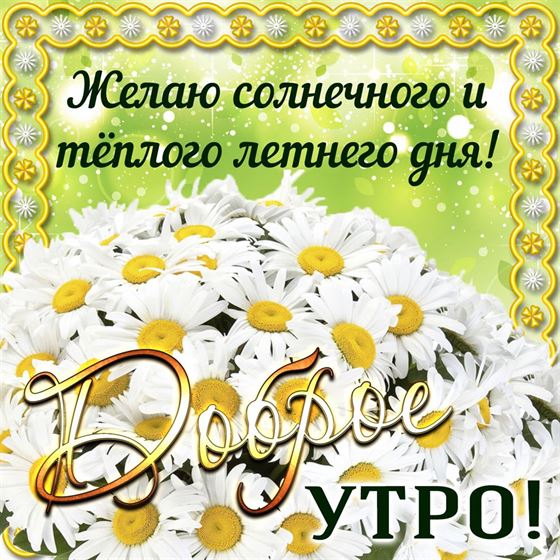 Картинка на лето с букетом ромашек