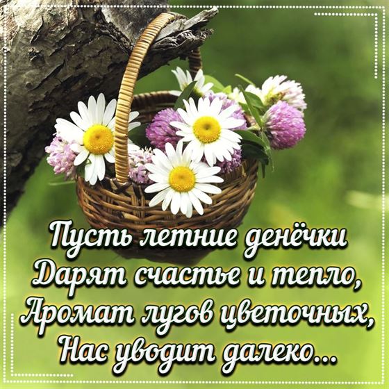 Открытка на лето с корзинкой цветов
