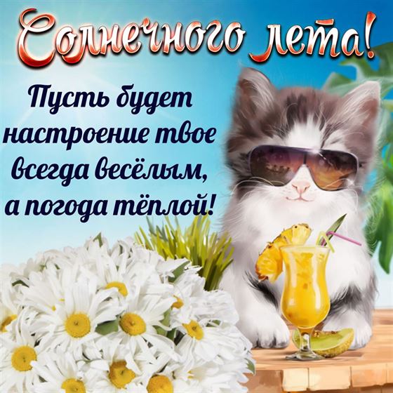 Котенок желает солнечного лета