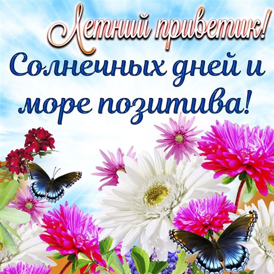 Красивые цветы на лето