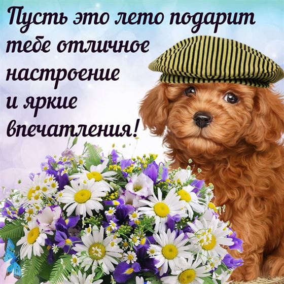 Пусть это лето подарит отличное настроение