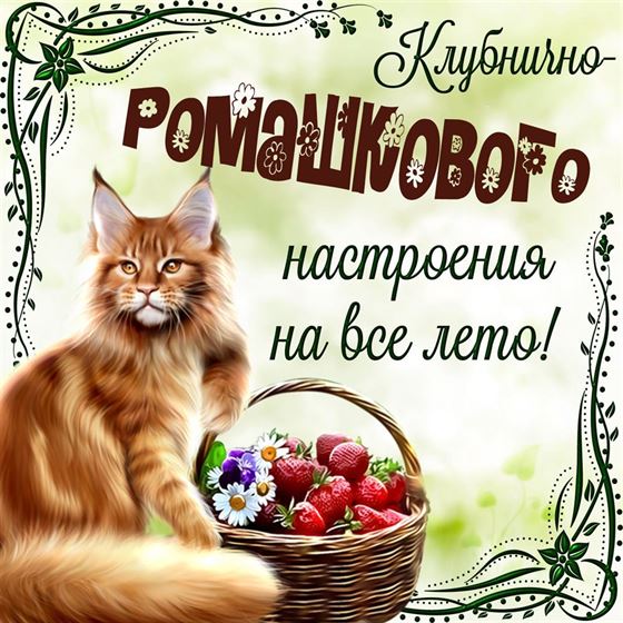 Клубнично-ромашкового настроения на лето