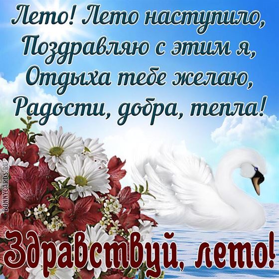 Картинка с лебедем на первый день лета