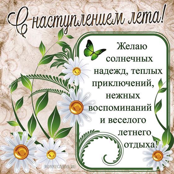 Поздравление на лето с ромашками