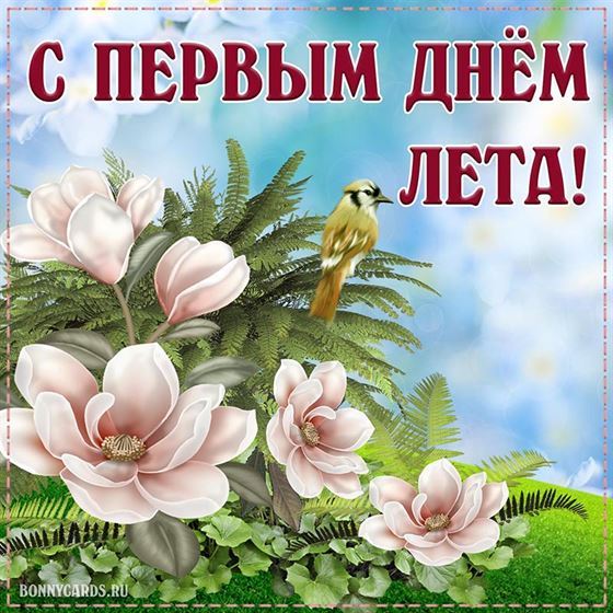 Красивые цветы на первый день лета