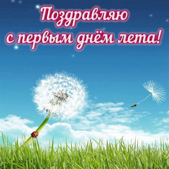 С первым днем лета с одуванчиком
