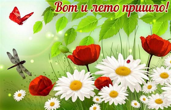 Ромашки и тюльпаны на первый день лета 