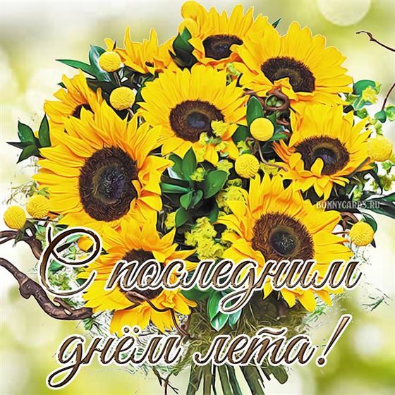 Букет подсолнухов на последний день лета 