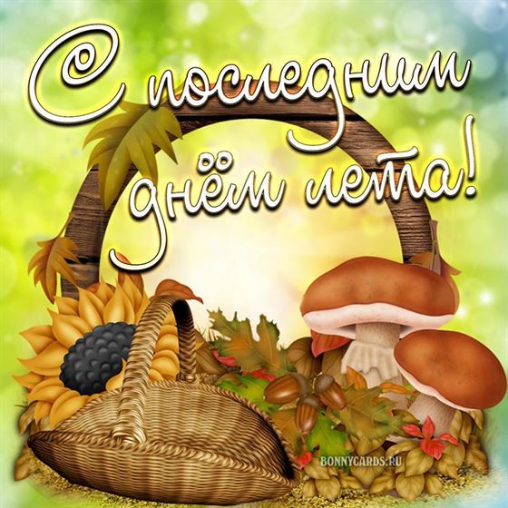 Открытка на последний день лета с грибами