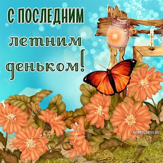 Цветы и бабочки на последний день лета 