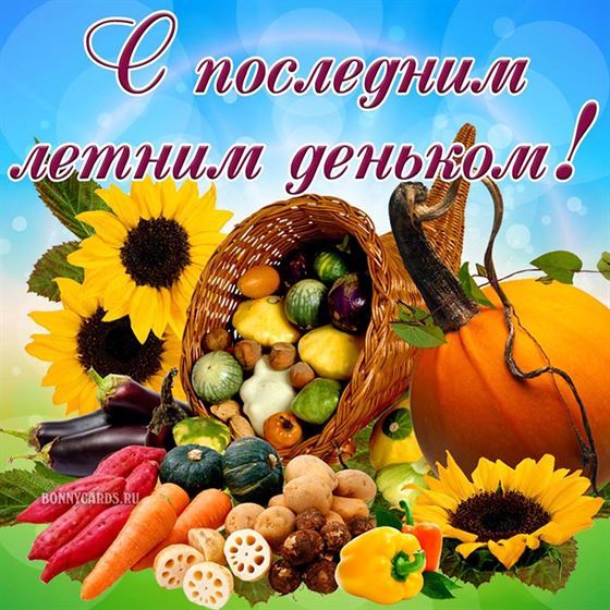 Гора овощей на последний день лета 