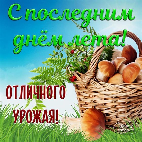 Корзина с грибами на последний день лета 