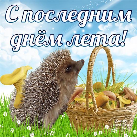 Ёжик поздравляет с последним днем лета 